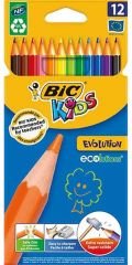 BİC  EVOLUTION KURU BOYA  12 RENK