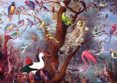 Fascinating Birds ( büyüleyici kuşlar ) puzzle 2000 parça