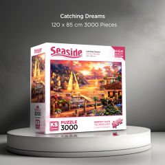 Catching Dreams