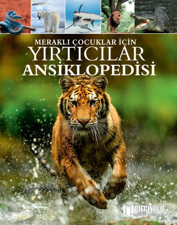 Meraklı Çocuklar İçin Yırtıcılar Ansiklopedisi (Sert Kapak)